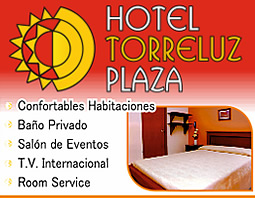 Hotel Torreluz Plaza